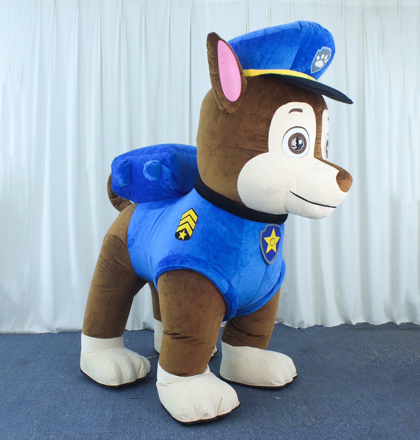 Cane Police air