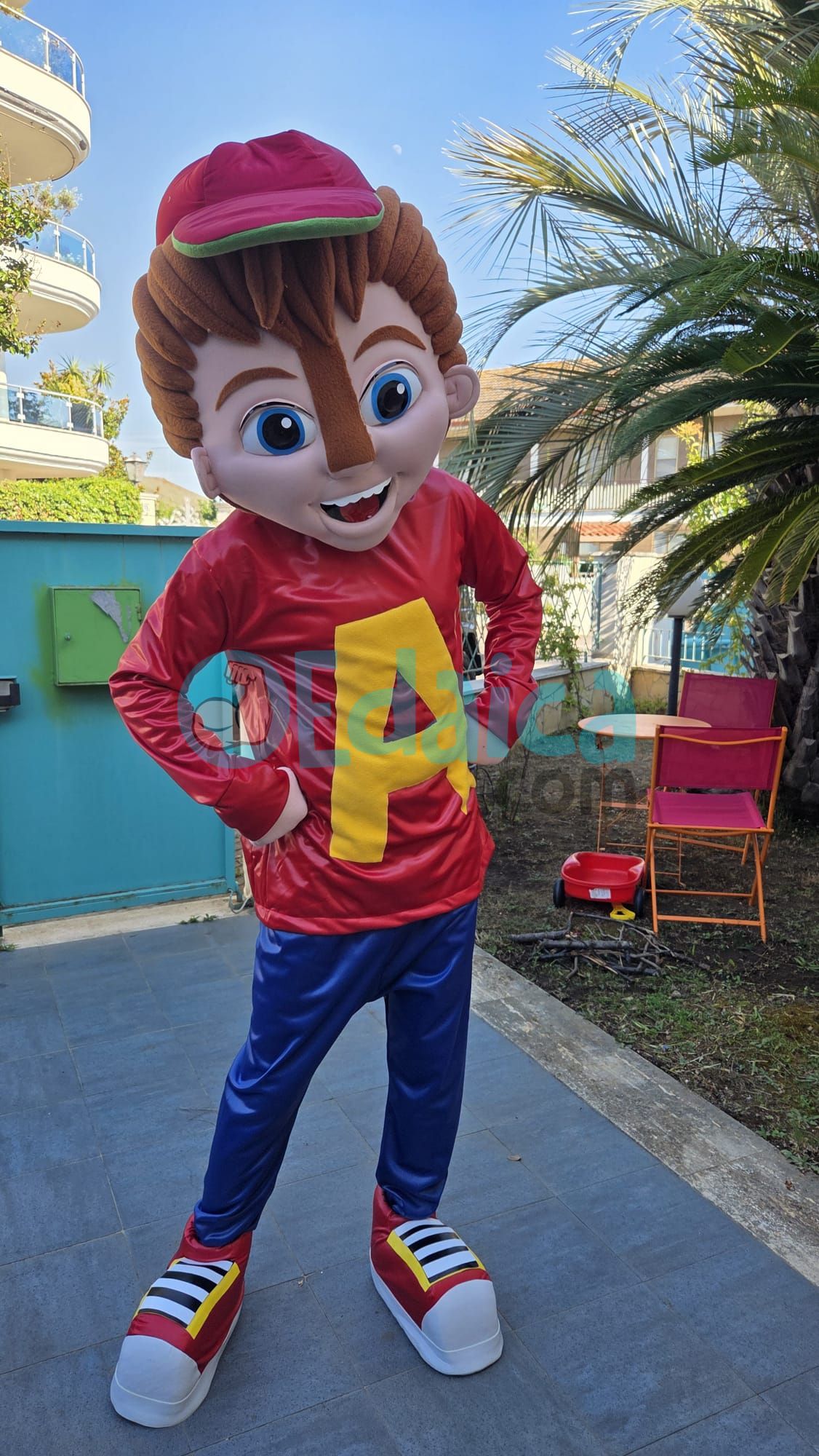 Alvy Boy N