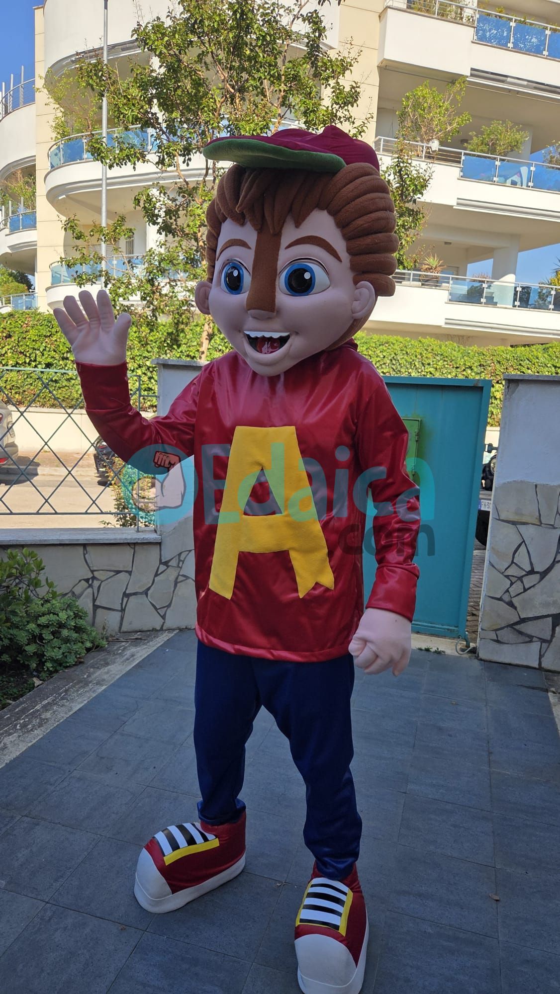 Alvy Boy N