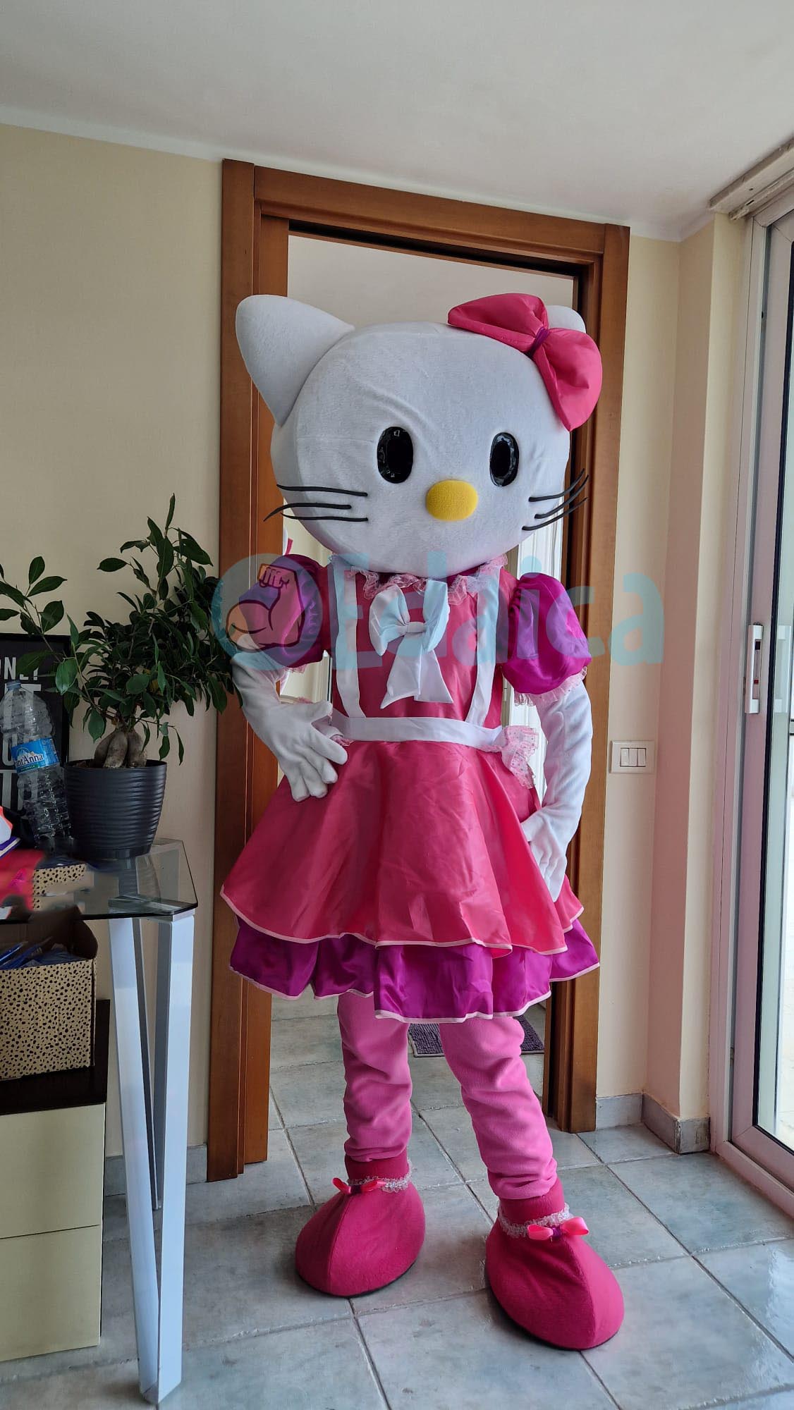 Kitti N