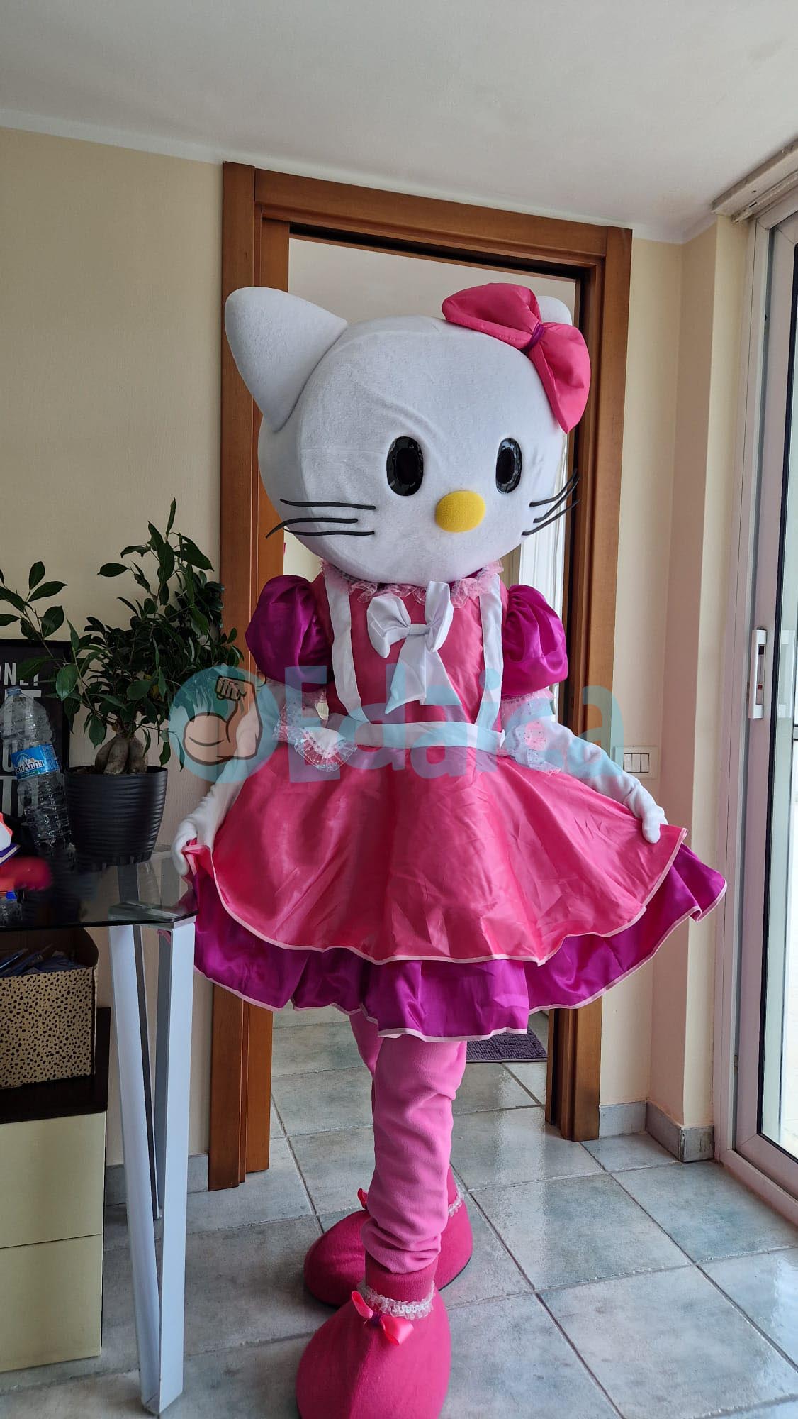 Kitti N