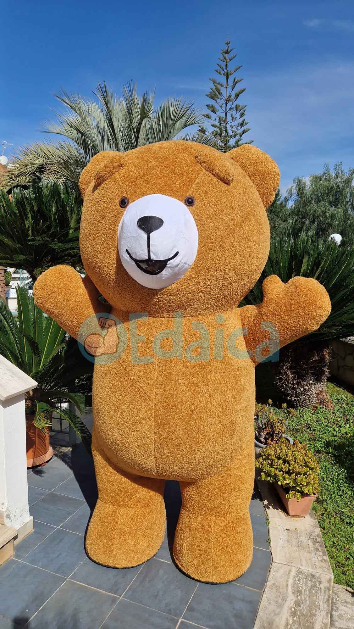 Orso Teddy N