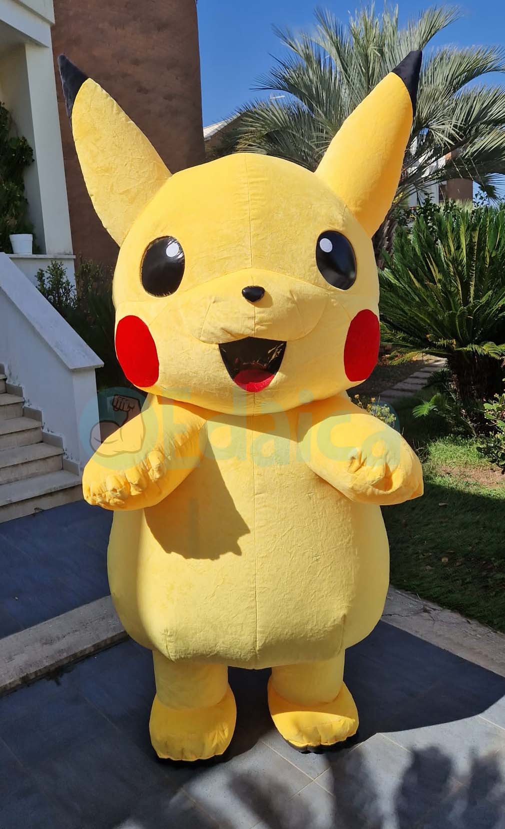 PiKachi air