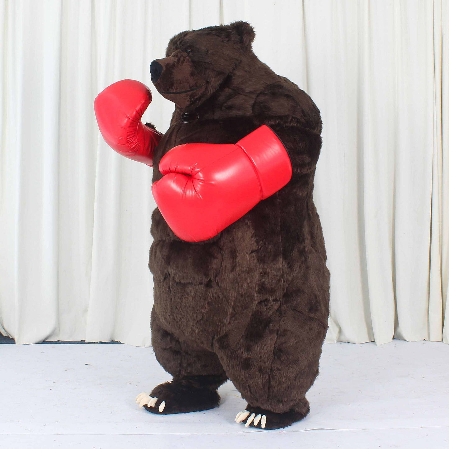 Orso Boxer