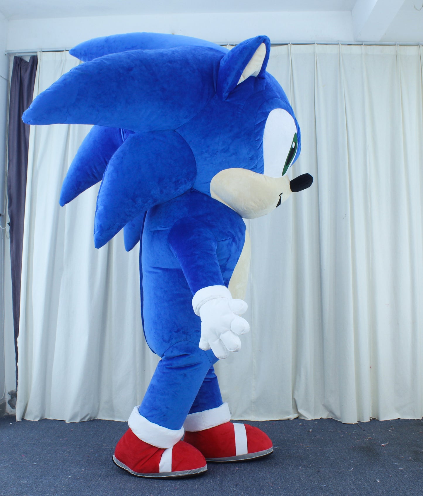 Sonik air
