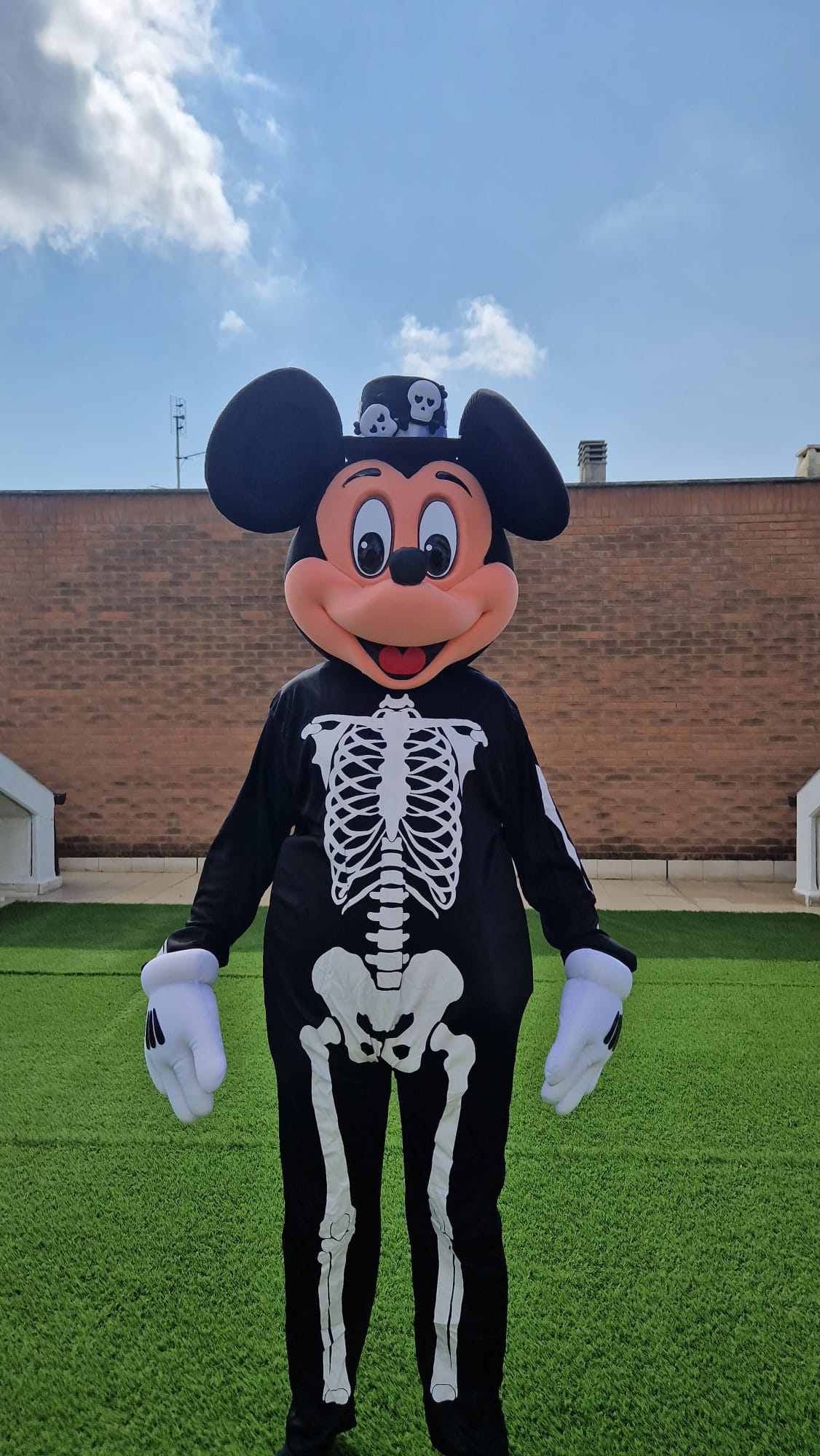 Topino skull N