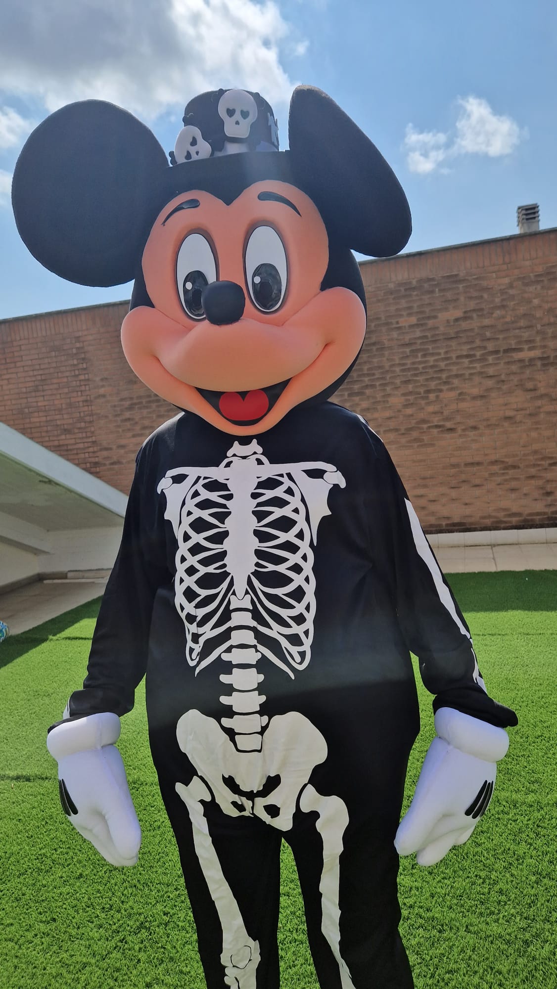 Topino skull N
