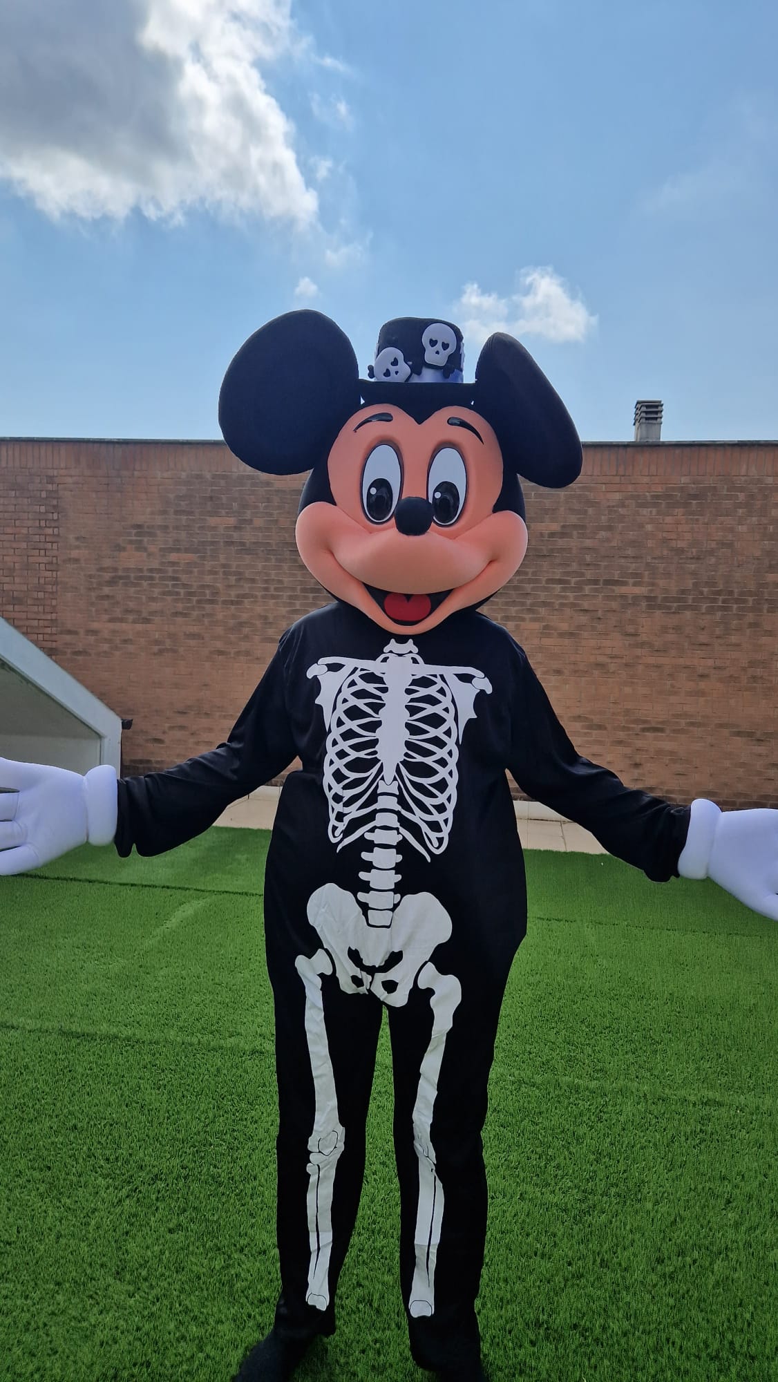 Topino skull N