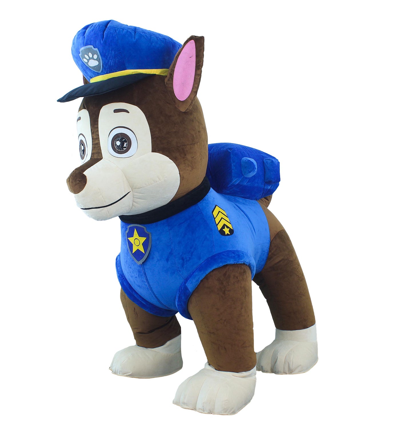 Cane Police air