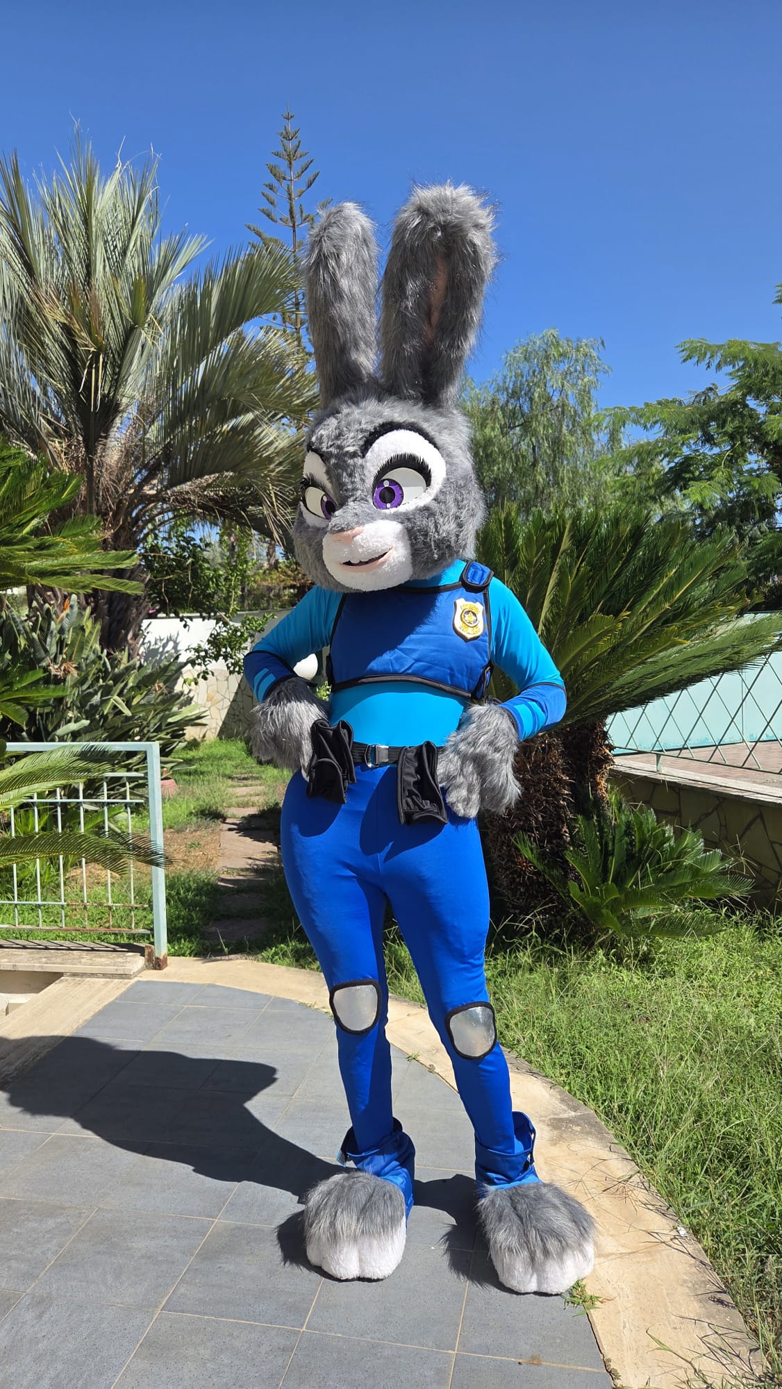 Judi Zoo