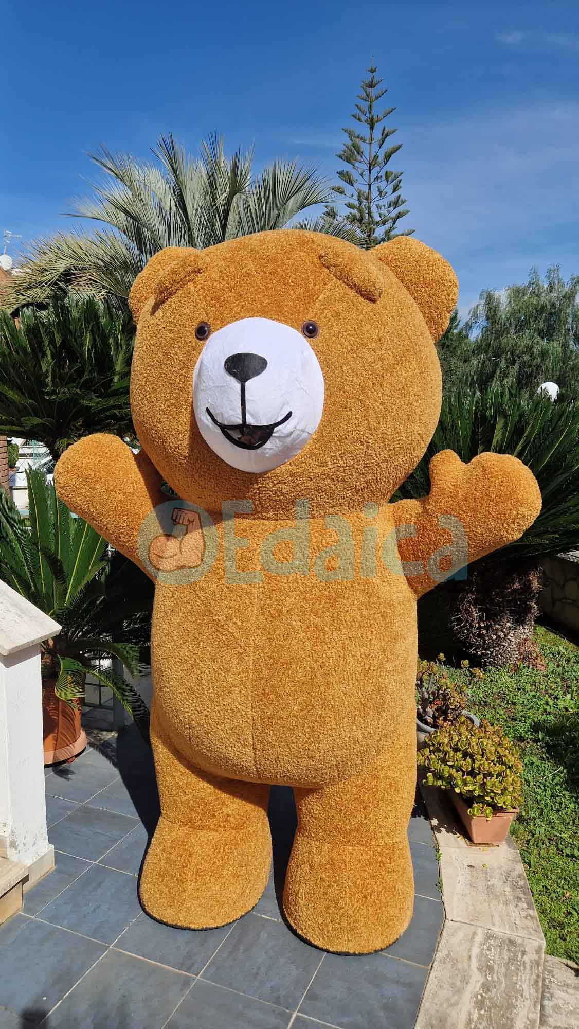Orso Teddy N