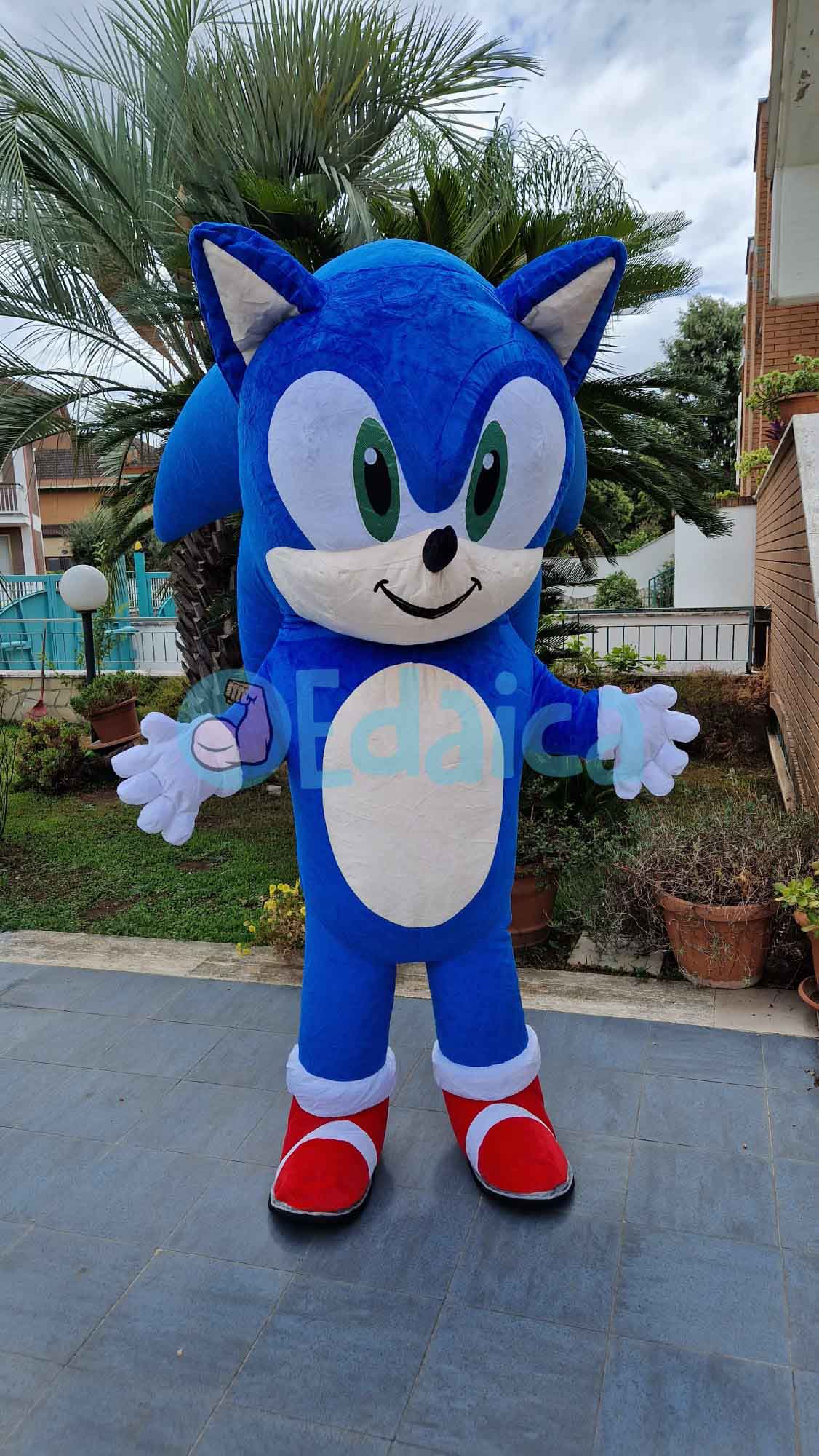Sonik air