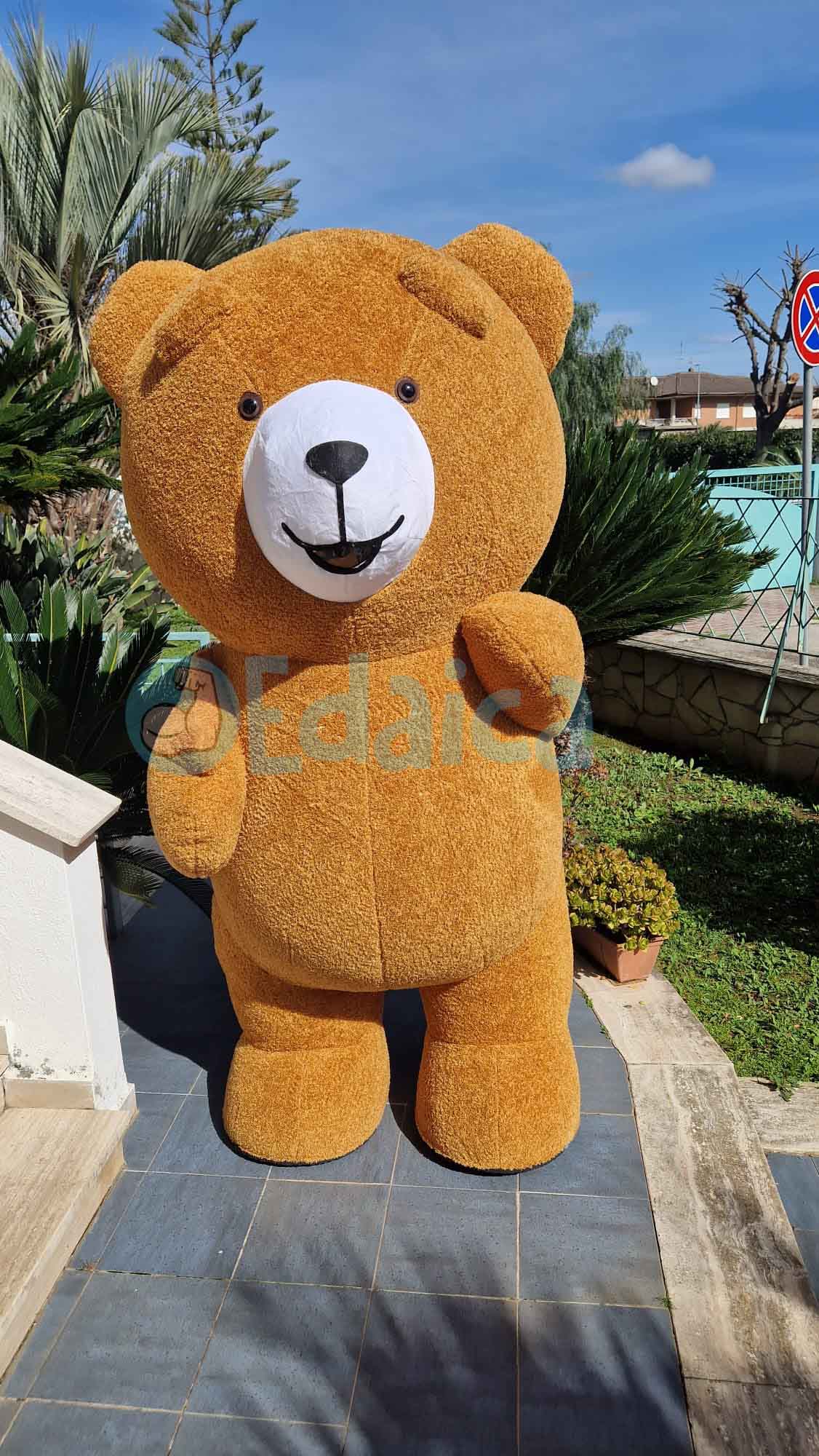 Orso Teddy N