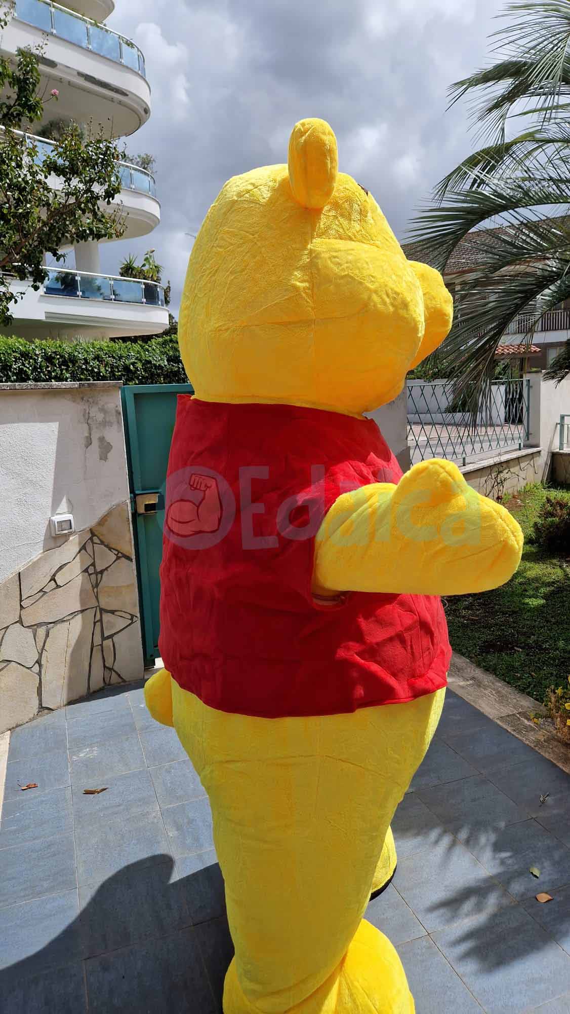 Winny air N