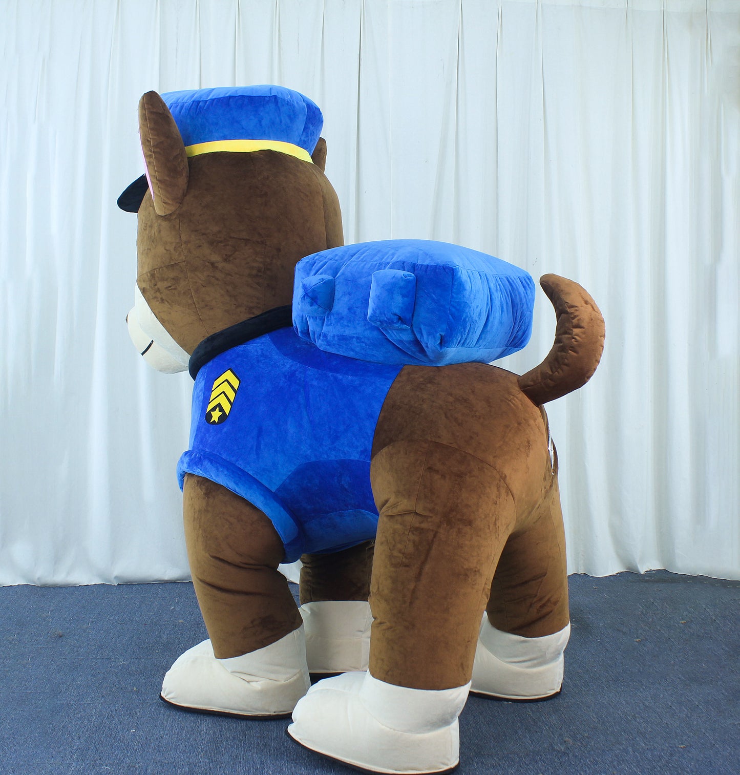 Cane Police air
