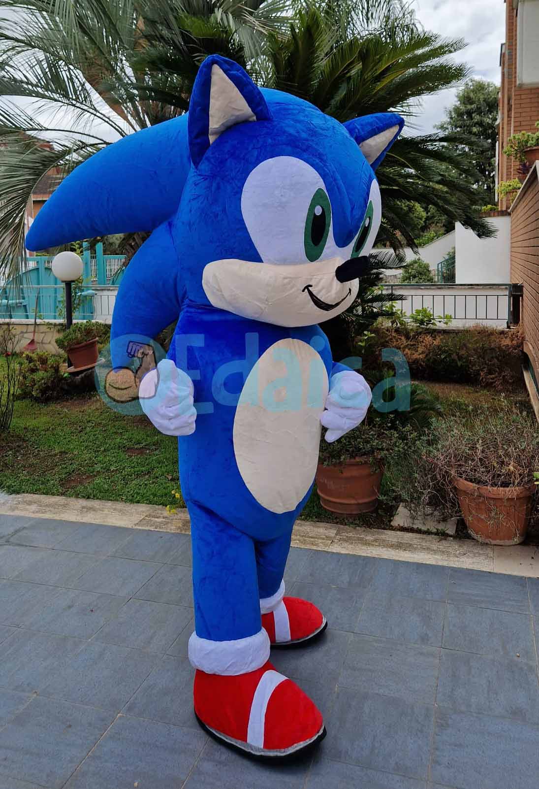 Sonik air