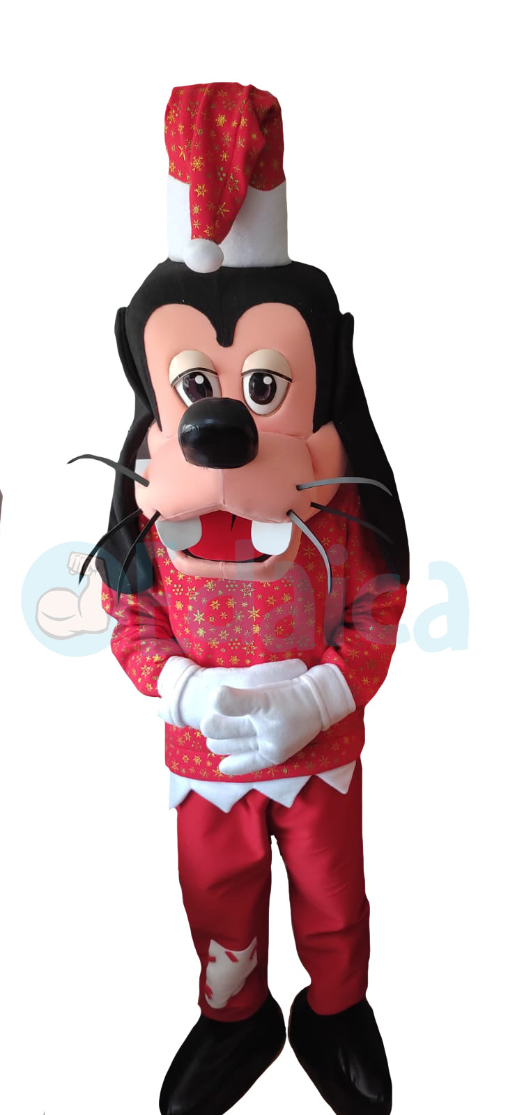 Pipo Natale