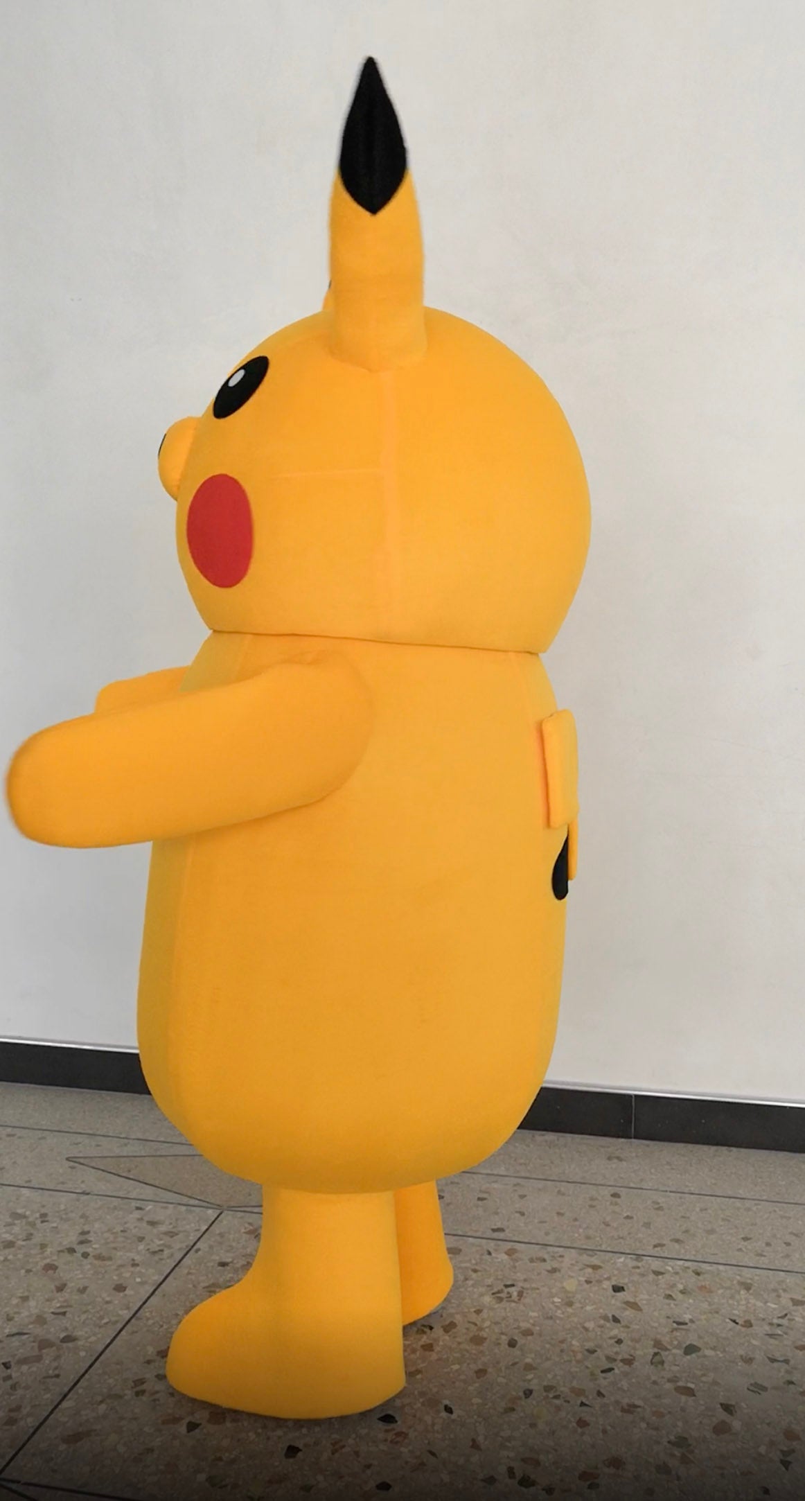 Pikachi Pro