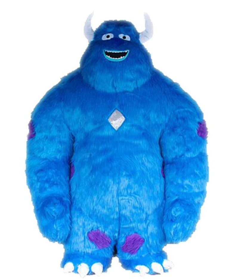 Sully air