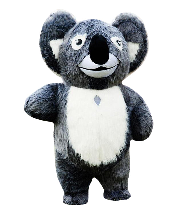 Koala
