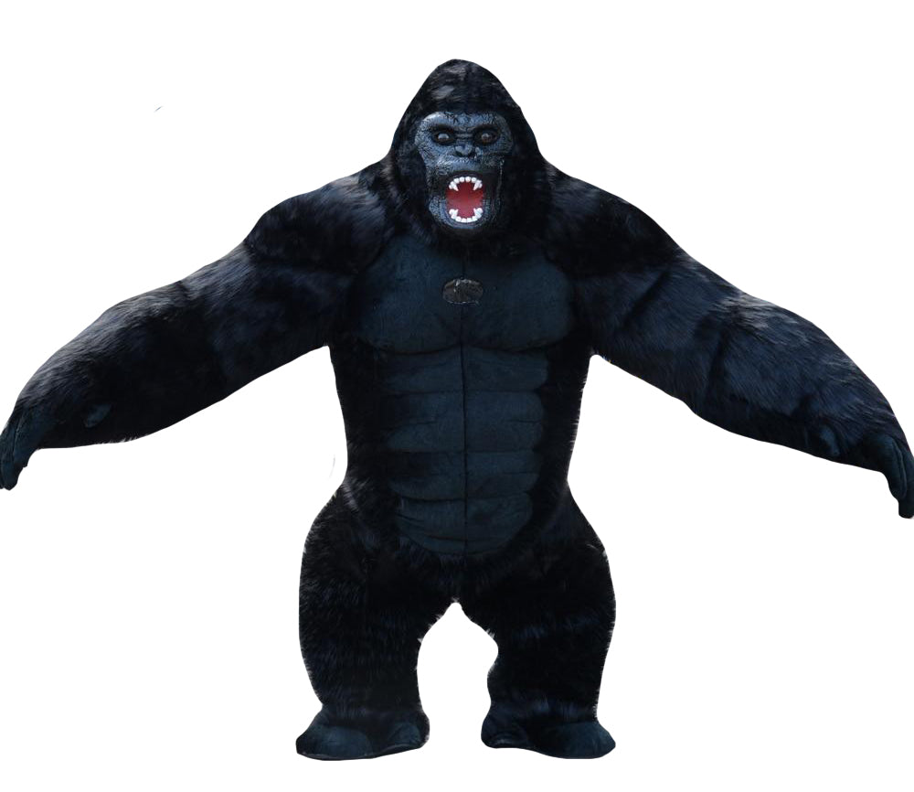 Gorilla