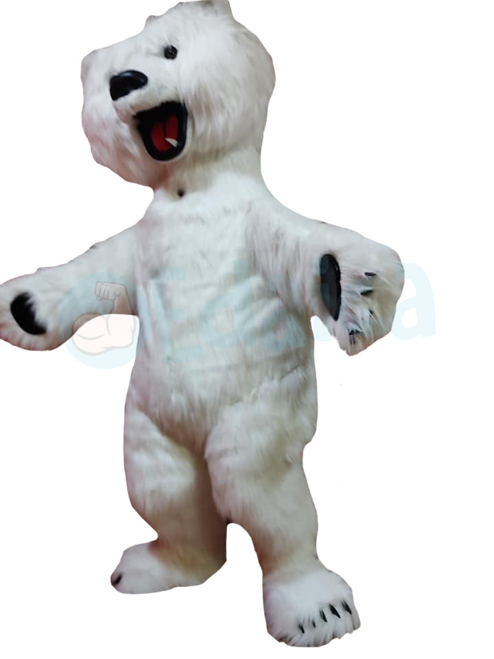 Orso Polare