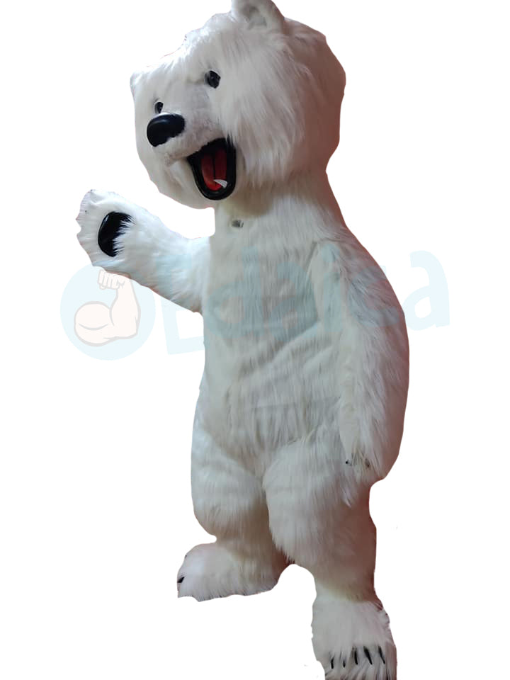 Orso Polare