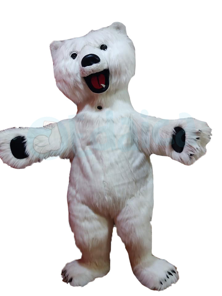 Orso Polare