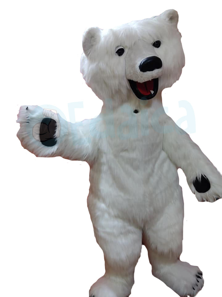Orso Polare