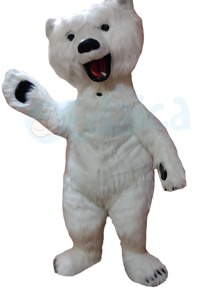 Orso Polare