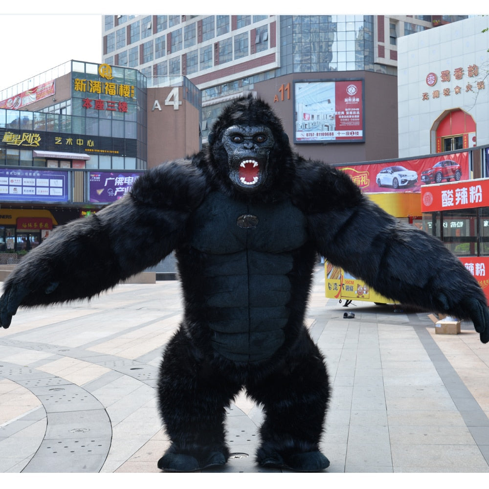 Gorilla