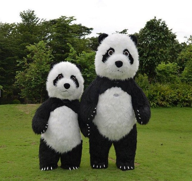 Panda Maxi