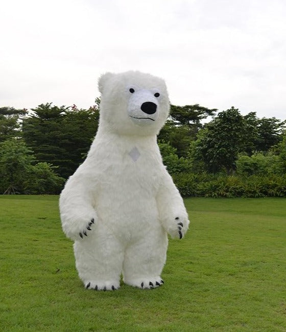 Orso bianco