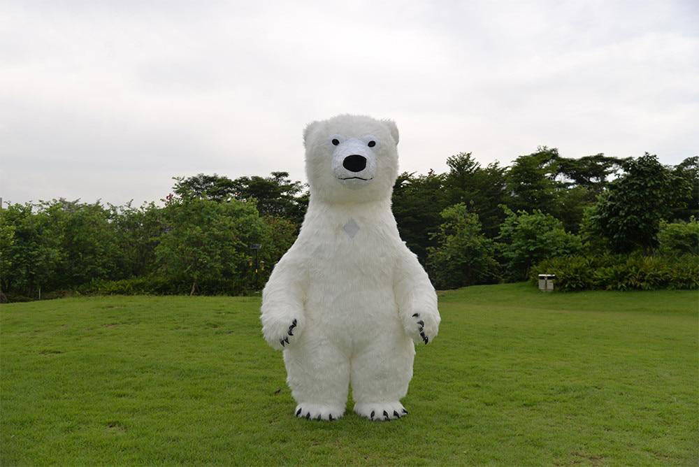 Orso bianco