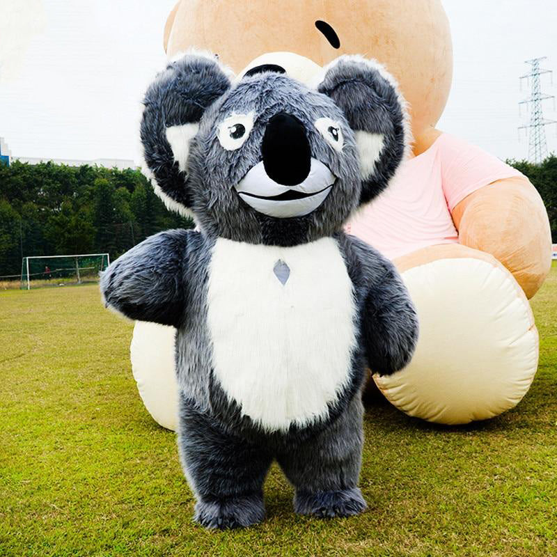 Koala