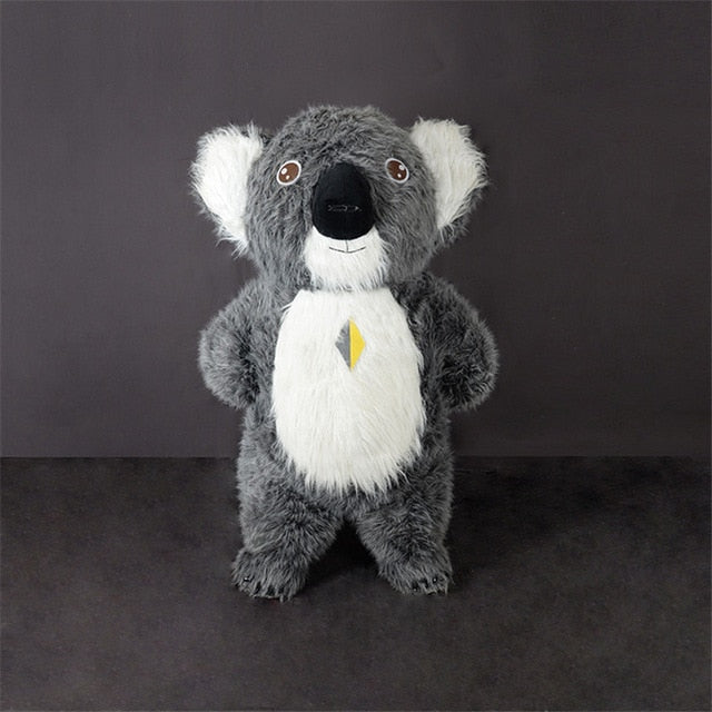 Koala