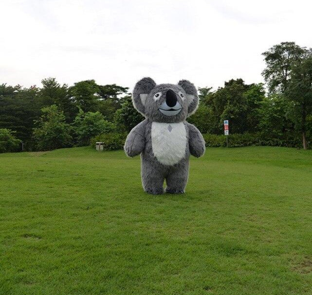 Koala