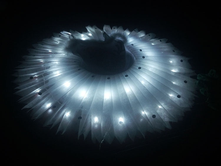 Tutu led