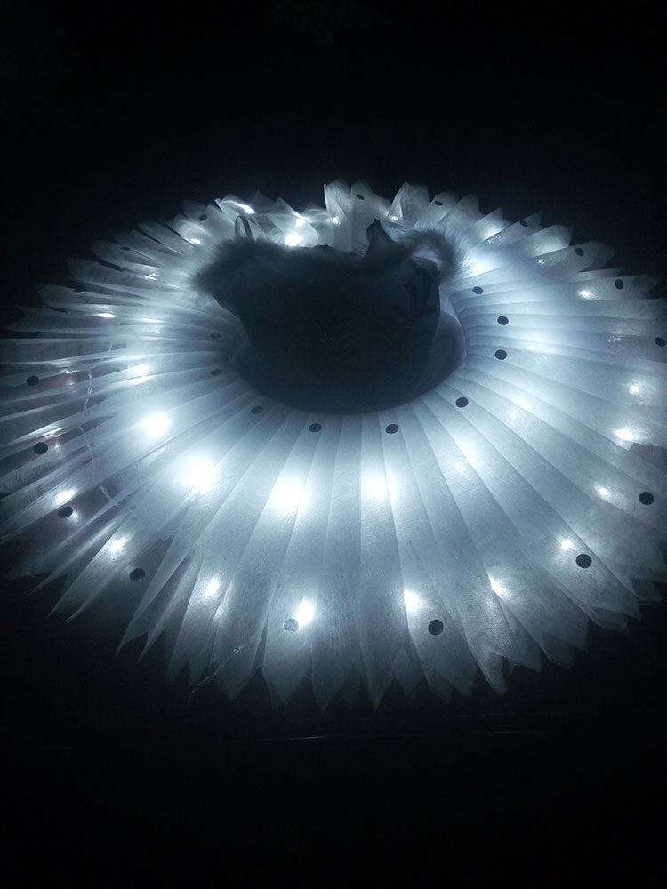 Tutu led