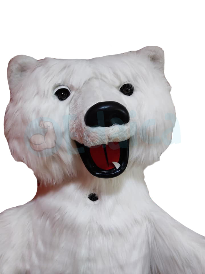 Orso Polare