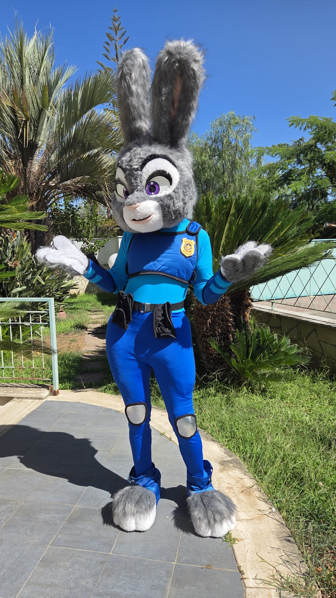 Judi Zoo