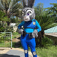 Judi Zoo