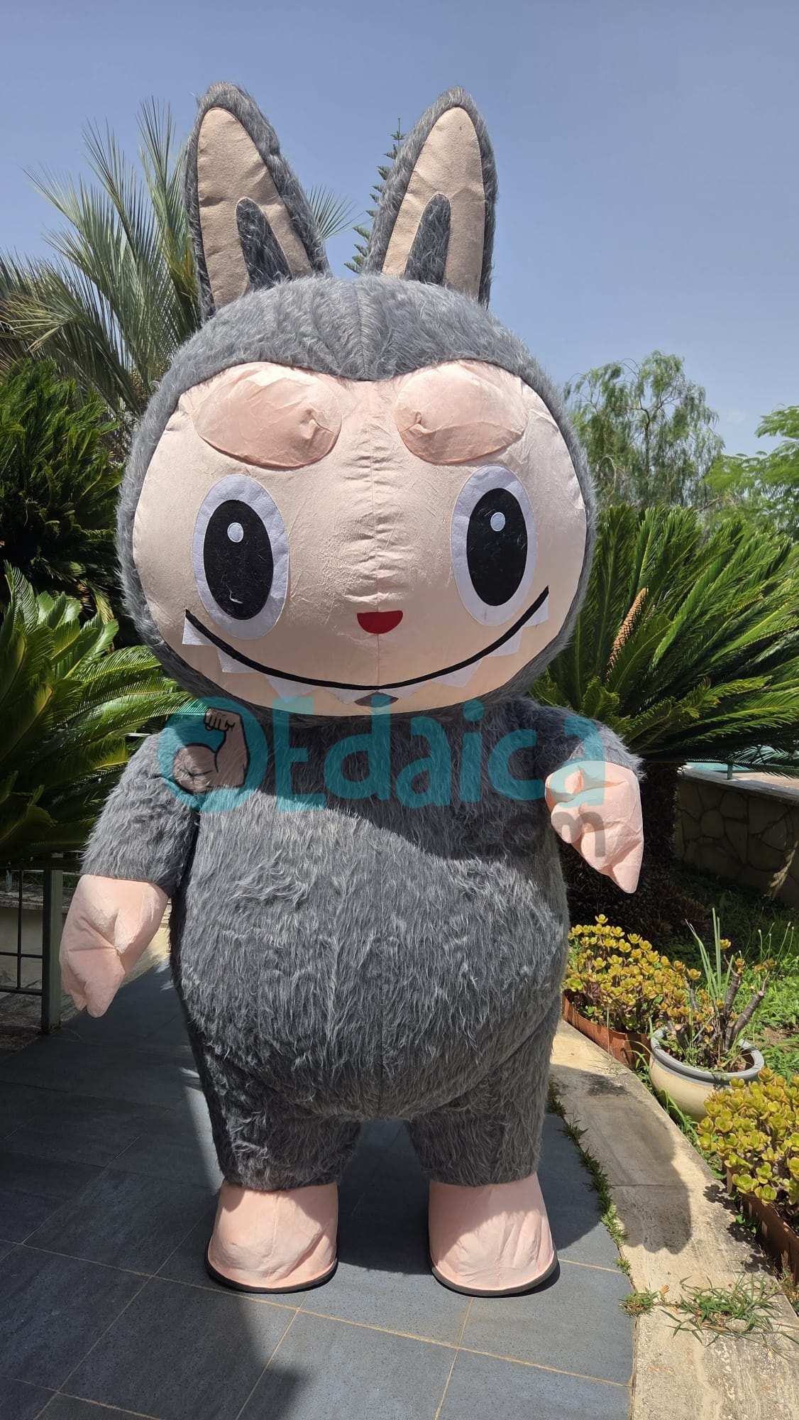 Labu Air N