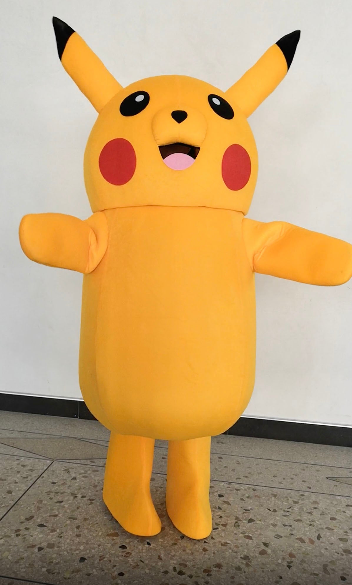 Pikachi Pro